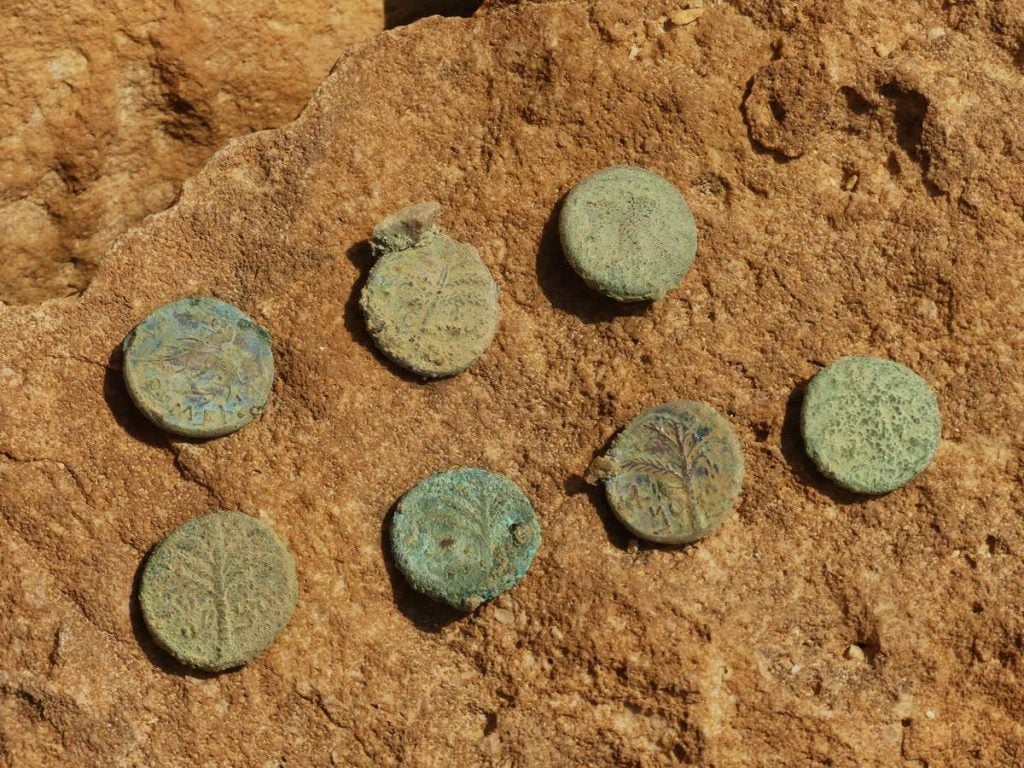 Cache of Bar Kokhba coins. Photo by Ofer Sion, courtesy of the Israel Antiquities Authority.