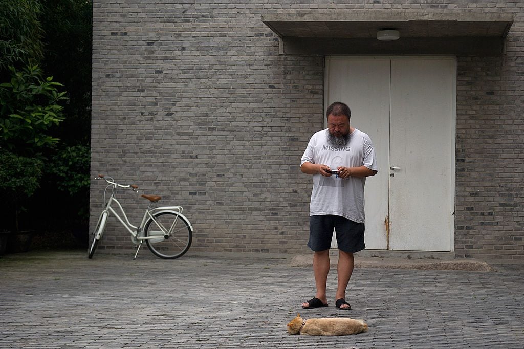 Chinese artist Ai Weiwei photographs a cat inside his home on the day of his court hearing, in Beijing on July 20, 2012. (Photo: Ed Jones/AFP/GettyImages)