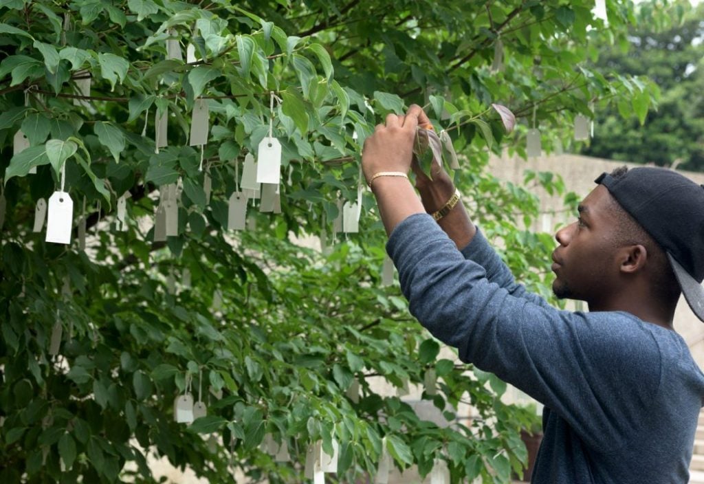 Yoko Ono, Wish Tree for Washington, DC (2007), installed at the Hirshhorn Museum and Sculpture Garden, Smithsonian. Photo by Jazmine Johnson, courtesy of the Hirshhorn Museum and Sculpture Garden, Smithsonian.