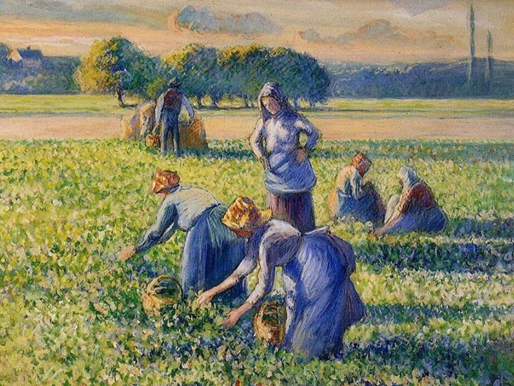 Camille Pissarro, La Cueillette des pois (The Pea Harvest), ca. 1887. Photo by RDN Arts.