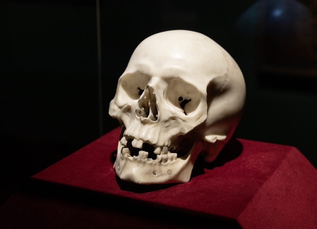 Gian Lorenzo Bernini, <i>Skull,</i> (1655). © SKD. Photo: Oliver Killig.
