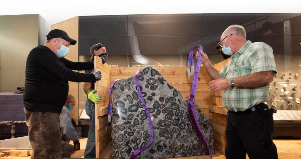 The installation of an orbicular granite from the Yilgarn Craton in Western Australia in the all-new Halls of Gems and Minerals at the American Museum of Natural History. Photo by D. Finnin, ©American Museum of Natural History.