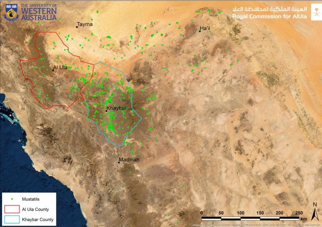 The locations of <em>mustatils</em> in northwest Saudia Arabia. Image courtesy of the Royal Commission for AlUla.