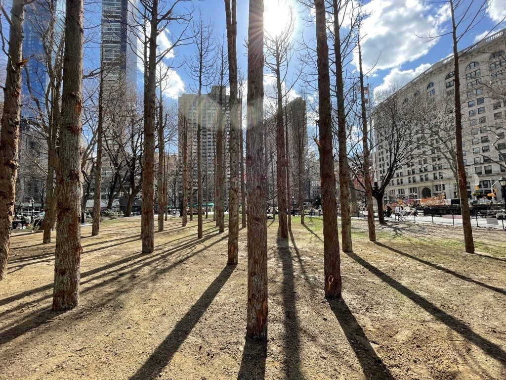 Maya Lin, Ghost Forest (2021). Photo by Maya Lin Studio, courtesy of the artist and Madison Square Park Conservancy.
