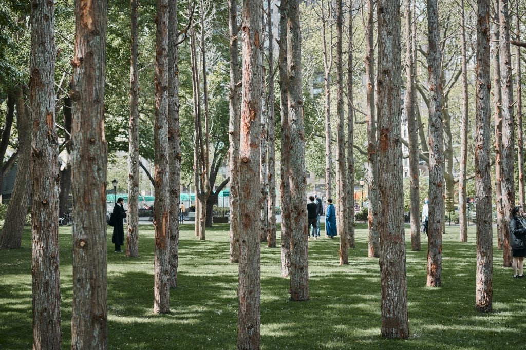 Maya Lin, <em>Ghost Forest</em> (2021). Photo by Andy Romer, courtesy of the artist and Madison Square Park Conservancy.