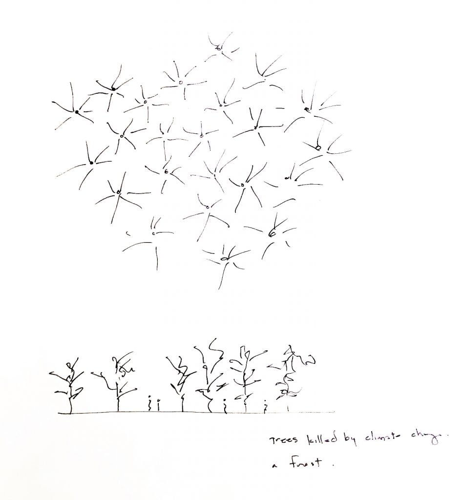 Maya Lin, <em>Ghost Forest</em> preparatory sketch (2019). Courtesy of the artist and Pace Gallery.