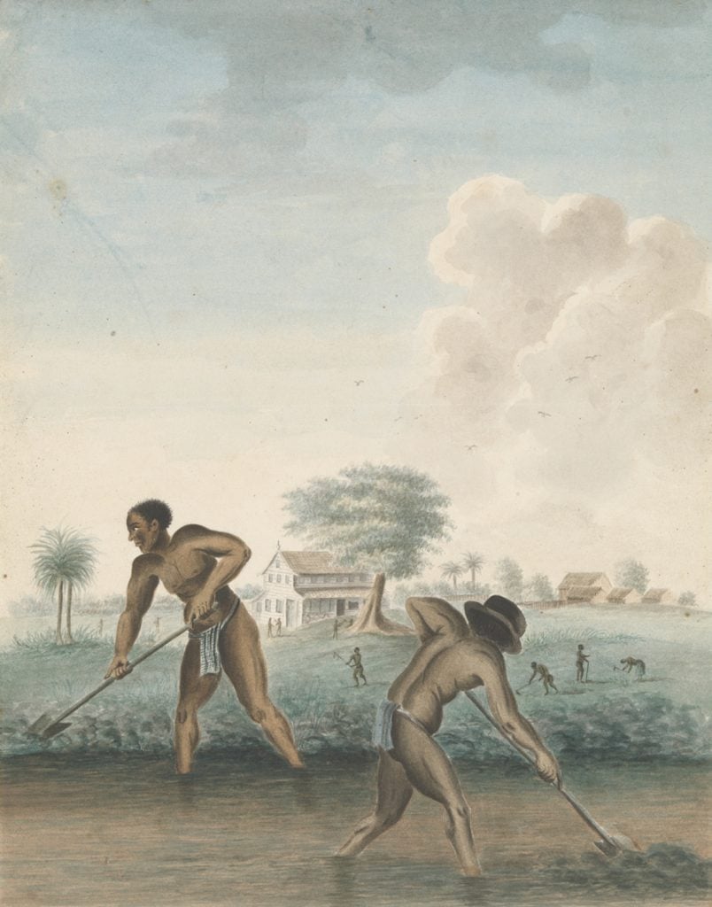 <i>Enslaved Men Digging Trenches</i> (1850) Source: Rijksmuseum with support from the Johan Huizinga Fonds.