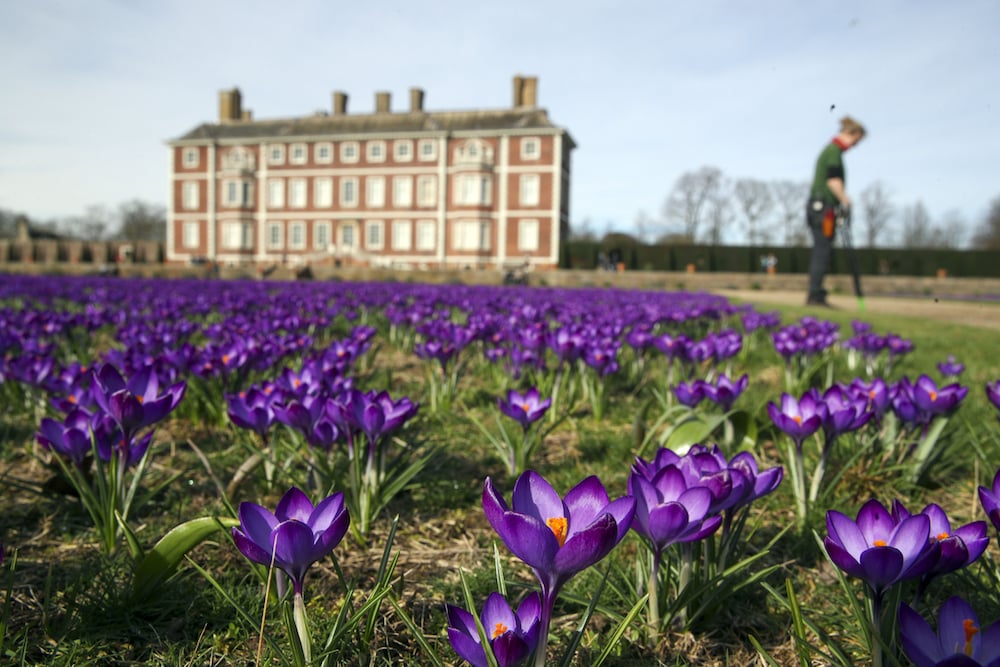he gardens of the National Trust's Ham House in London. Picture date: Tuesday February 23, 2021. Photo by Steve Parsons/PA Images via Getty Images.