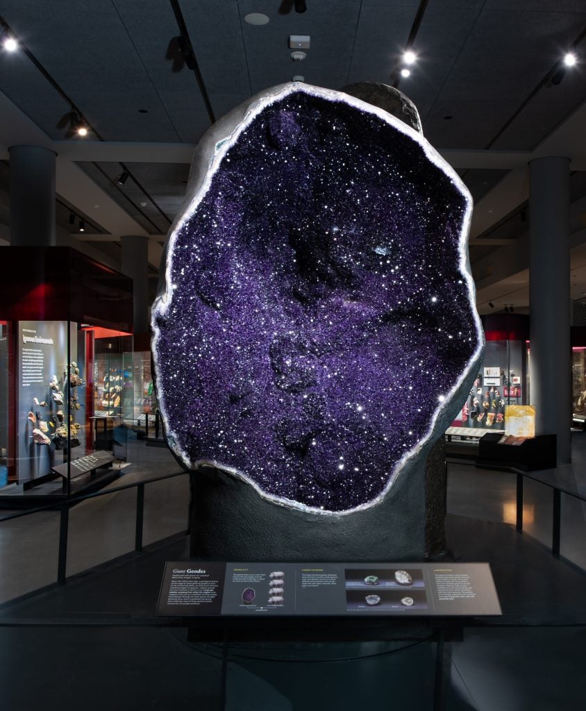 The entrance to the new galleries features a pair of towering amethyst geodes that are among the world’s largest on display. • The amethyst geode pictured here stands 9 feet-tall, weighs around 12,000 pounds, or about as much as four black rhinos, and was collected from the Bolsa Mine in Uruguay. Photo by D. Finnin, ©AMNH.
