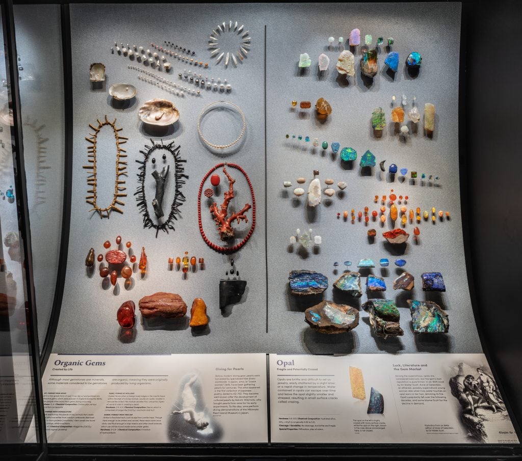 This case in the Gem Hall features organic gems—those originally produced by living organisms, like jet (formed from wood), coral (formed from exoskeletons), pearl (formed by mollusks) and amber (formed from tree sap)—and opals, which are brittle and often difficult to set as jewelry. Photo by D. Finnin, ©American Museum of Natural History.