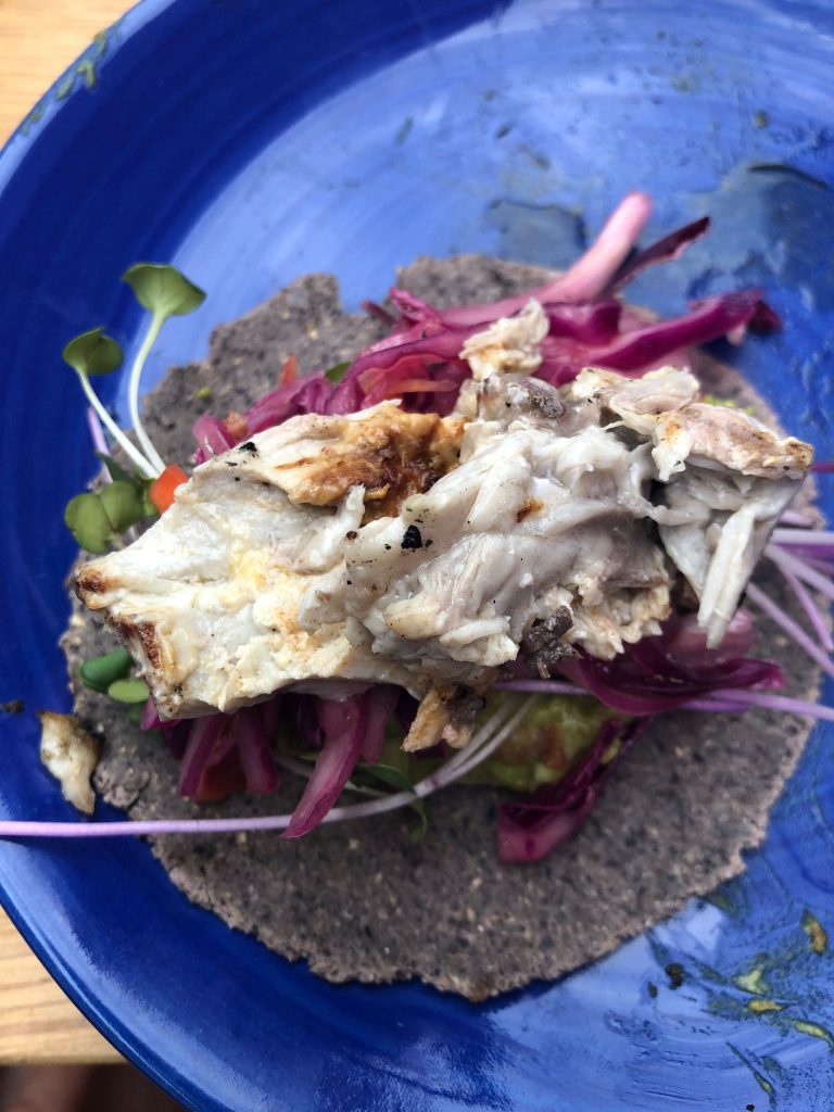 Alois Kronschlaeger and Florencia Minniti's Kind of Blue Tacos. Photo courtesy of the artists.