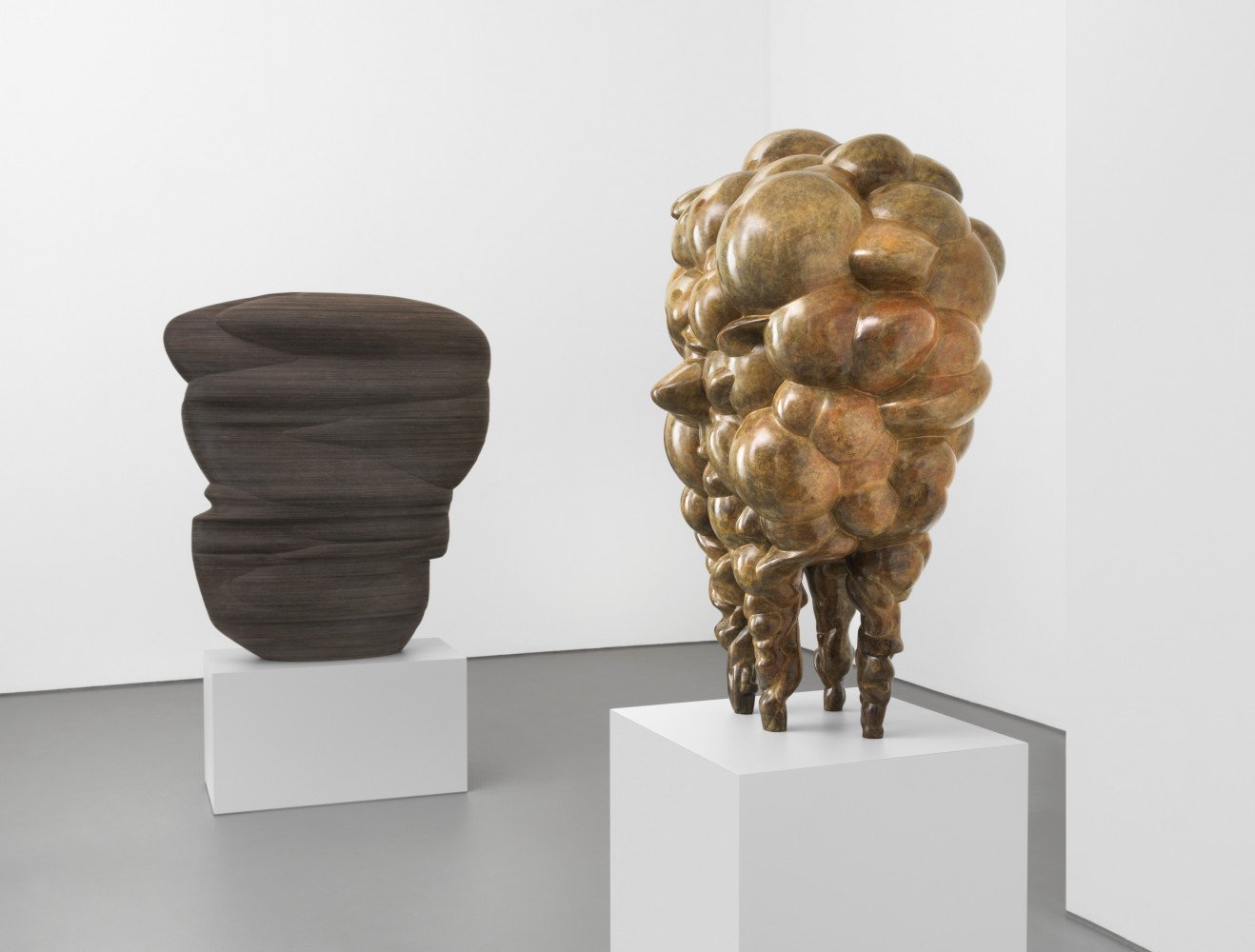 Shop Show: Tony Cragg's New Sculptures Reimagine the Fundamental Building Blocks of Nature the Human Body