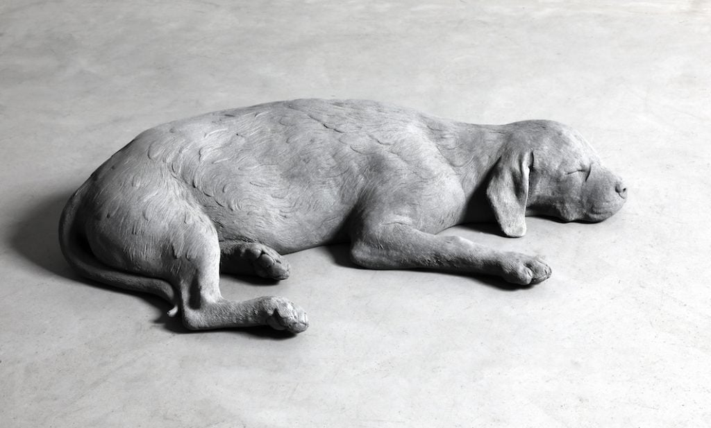 Hans Op de Beeck, Dog (2019). Courtesy of Galleria Continua.