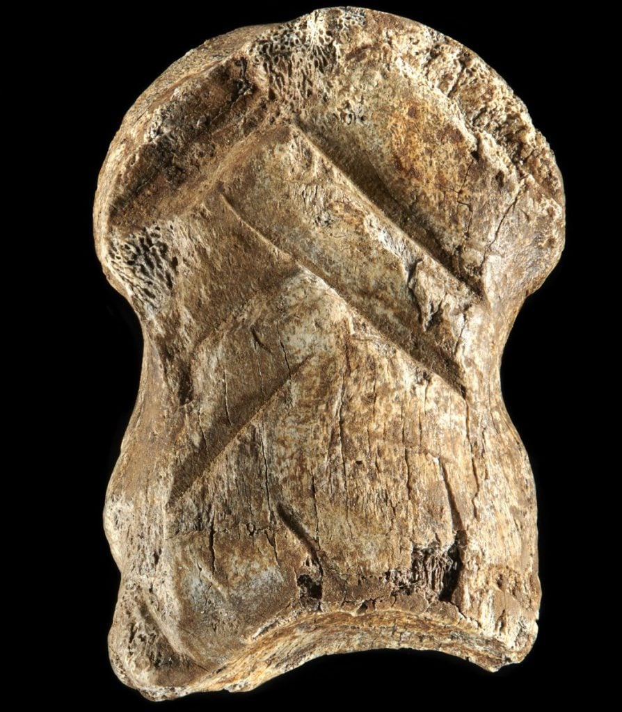 A 51,000-year-old deer bone with symbolic carvings. Photo: V. Minkus / Courtesy of Lower Saxony Office for Heritage.