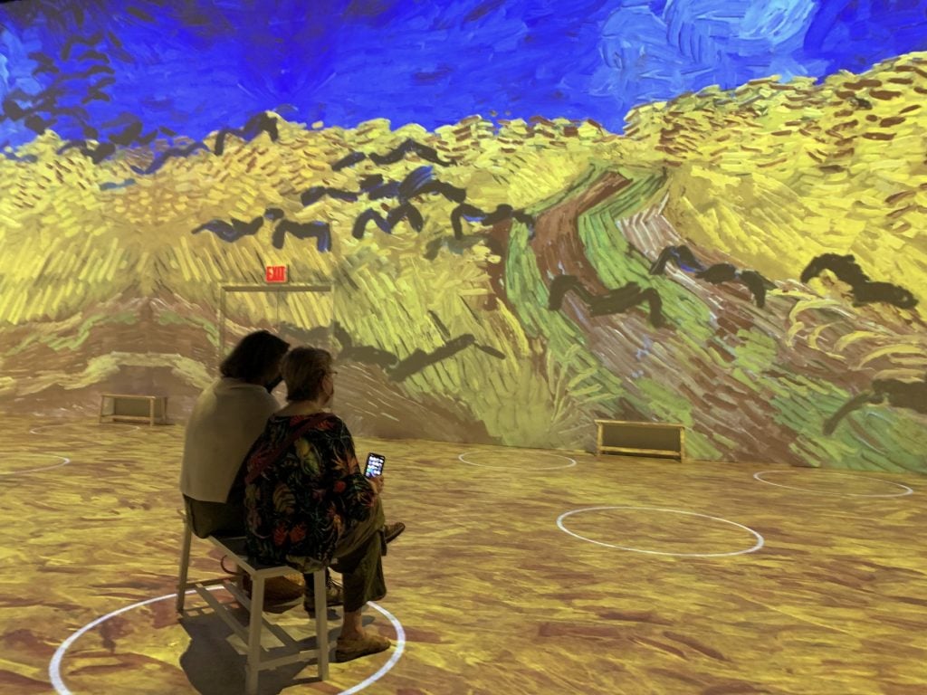 Visitors view a projection within Immersive Van Gogh. Photo by Ben Davis.