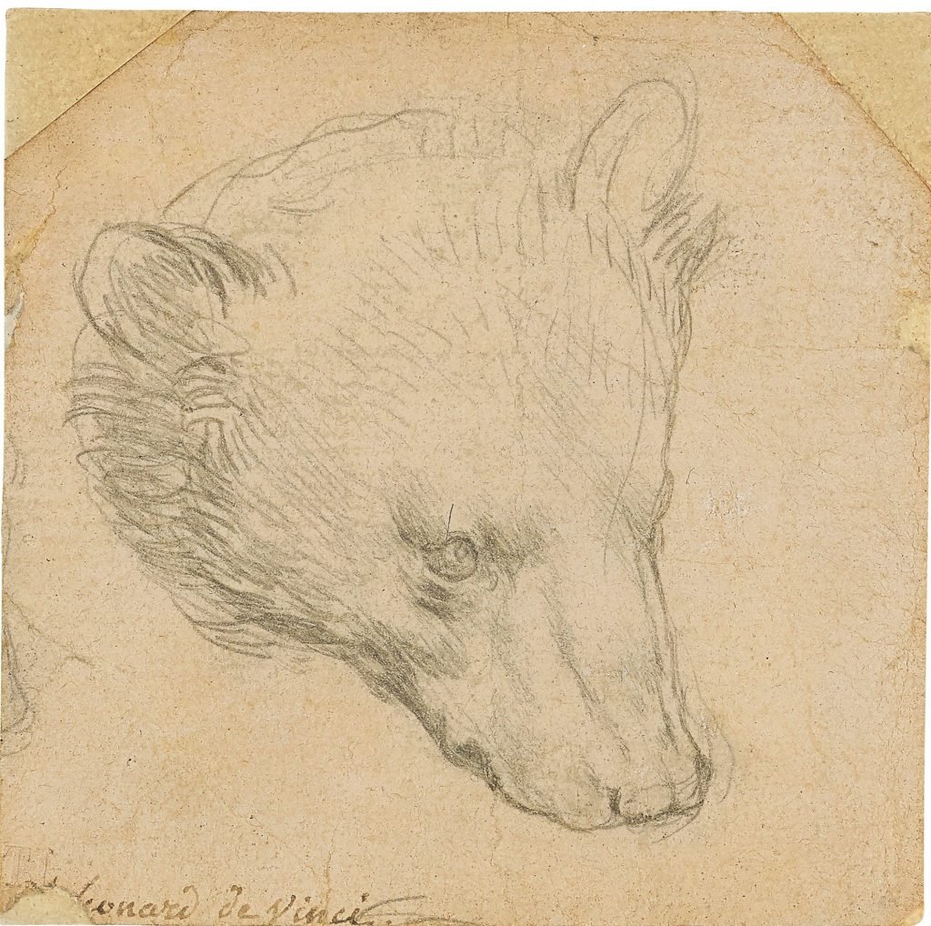 Leonardo da Vinci, <em>Head of a Bear</em> (ca. 1480). Photo courtesy of Christie's New York.