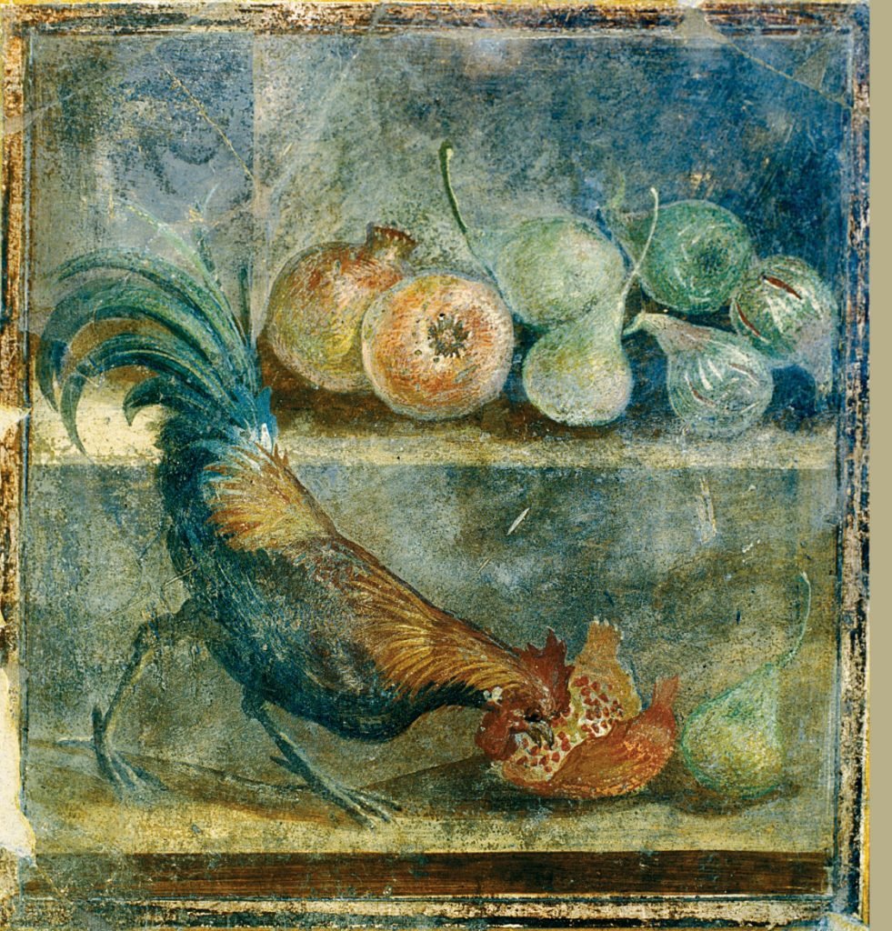 Fresco showing a cockerel pecking at pomegranates, Pompeii, (AD 50–79). Photo courtesy of the Museo Archeologico Nazionale di Napoli.