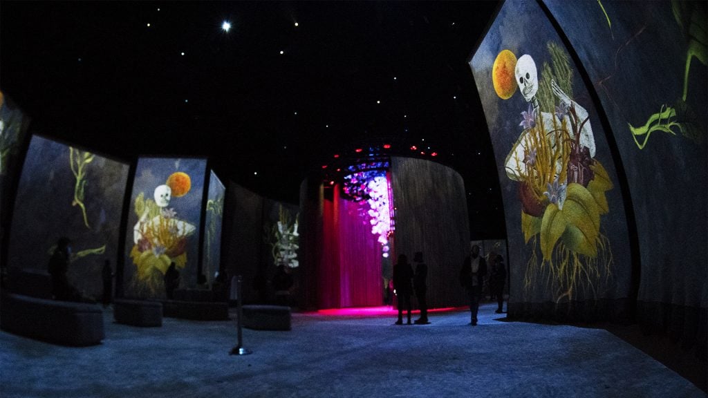 Installation view of "Frida: La Experiencia Immersiva." Photo courtesy of Cocolab.