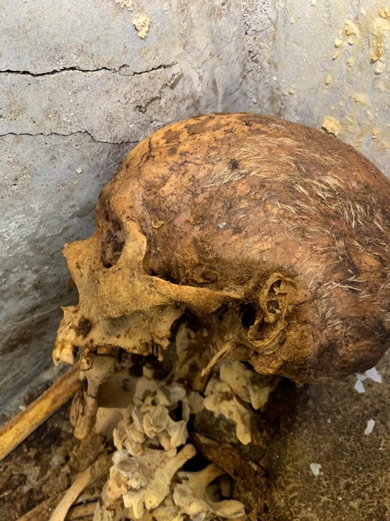 Hair and part of the ear can still be seen on the skull of Marcus Venerius Secundio, the most well-preserved burial discovered at Pompeii to date. Photo courtesy of the Archaeological Park of Pompeii.