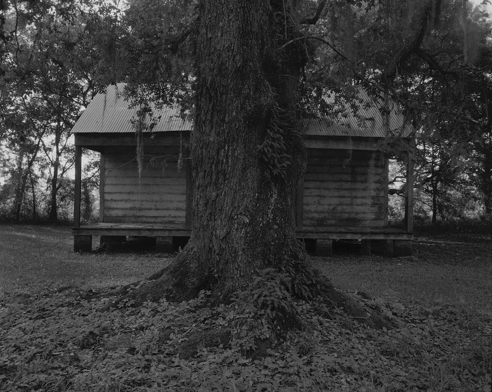 Dawoud Bey, <i>Tree and Cabin,</i> (2019) © Dawoud Bey Courtesy: Sean Kelly, New York