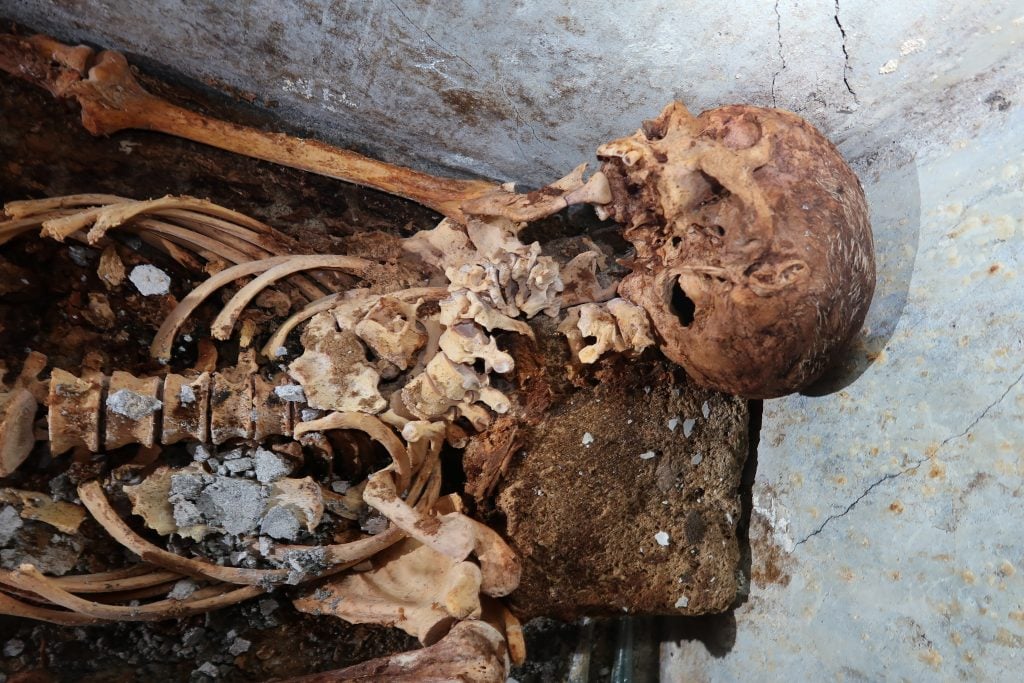 The skeleton of Marcus Venerius Secundio, the most well-preserved burial discovered at Pompeii to date. Photo courtesy of the Archaeological Park of Pompeii.