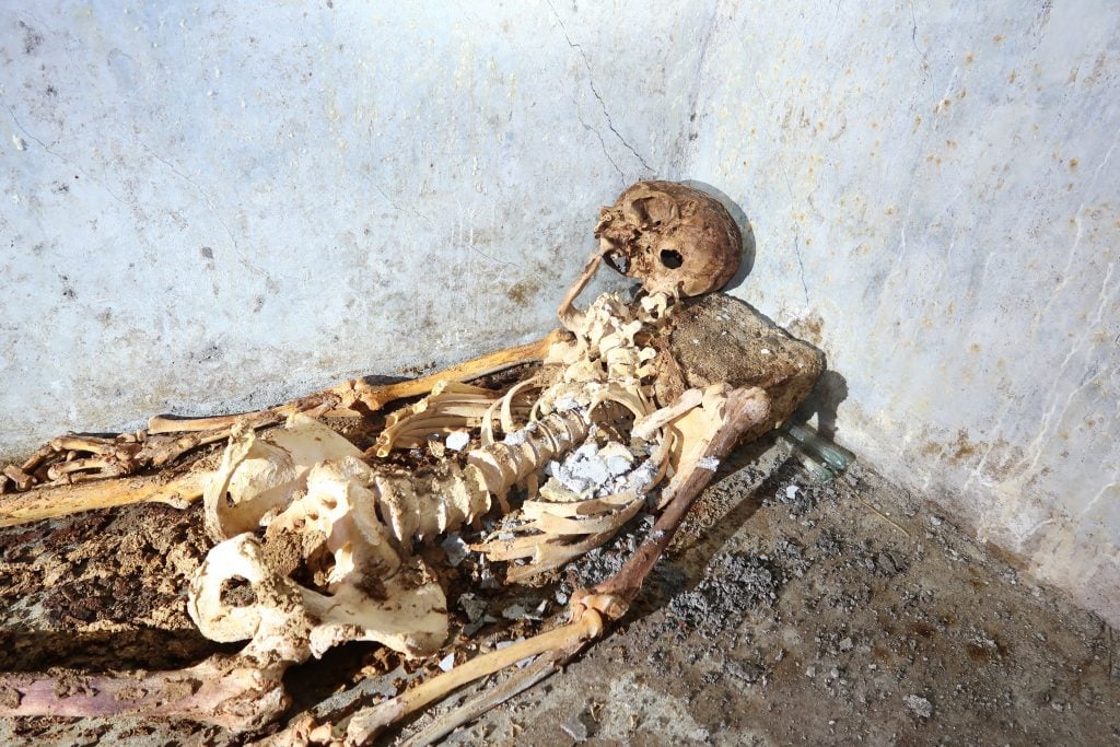 The remains of Marcus Venerius Secundio were preserved in a sealed chamber in a Pompeii cemetery. Though the body is nearly 2,000 years old, close-cropped hair and an ear are still visible on the skull. Photo courtesy of the Archaeological Park of Pompeii/University of Valencia.