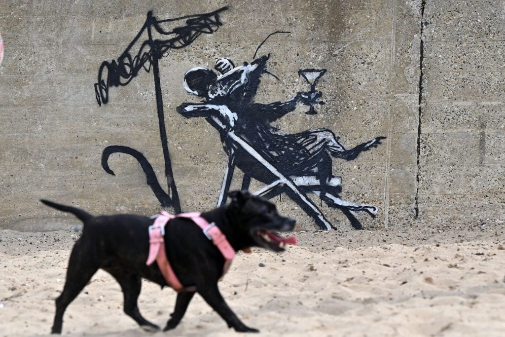 A dog passes a graffiti artwork of a rat drinking a cocktail by Banksy, on a wall at North Beach in Lowestoft on the East coast of England on August 8, 2021. Photo by Justin Tallis/AFP via Getty Images.
