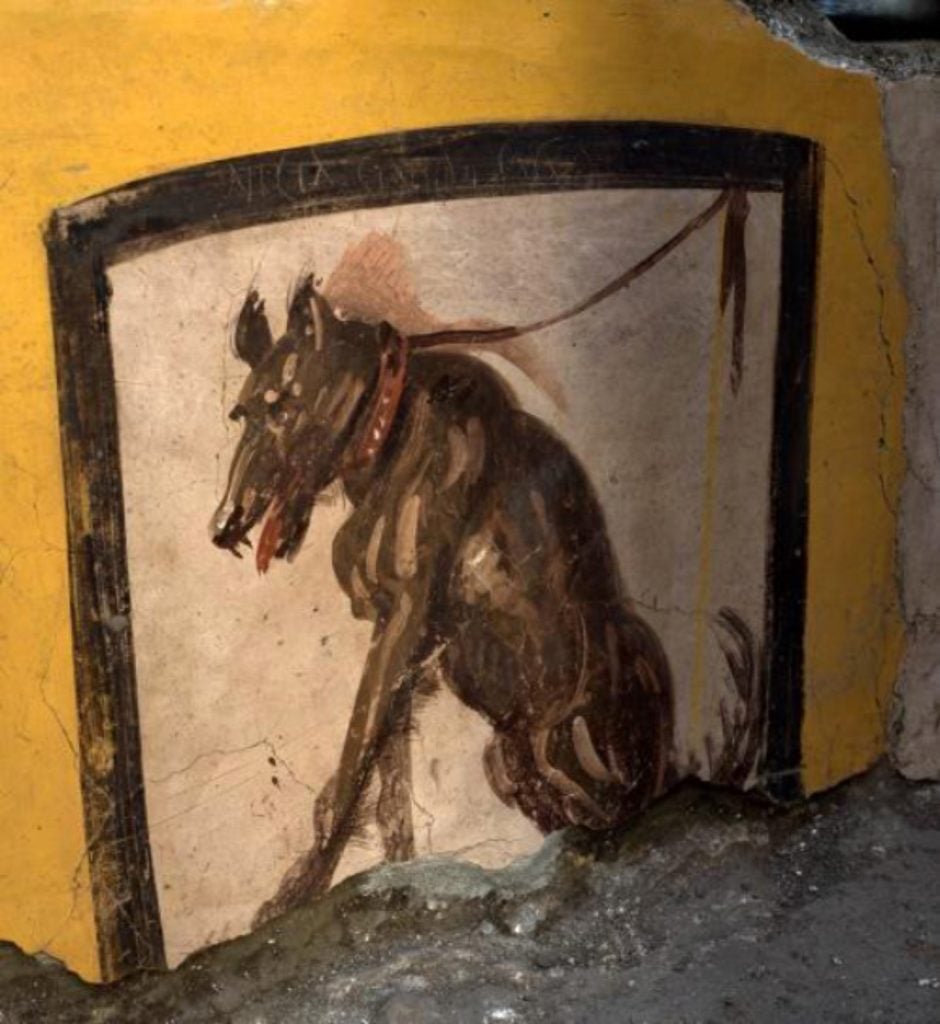 A fresco of a collared dog at the <em>thermopolium</em> with Roman-era graffiti that reads "NICIA CINAEDE CACATOR," translating to "NICIAS SHAMELESS SHITTER," presumably an insult to the owner. Photo courtesy of Archaeological Park of Pompeii. ” srcset=”https://news.artnet.com/app/news-upload/2021/08/image_9193_5e-Pompeii-Thermopolium-940×1024.jpeg 940w, https://news.artnet.com/app/news-upload/2021/08/image_9193_5e-Pompeii-Thermopolium-275×300.jpeg 275w, https://news.artnet.com/app/news-upload/2021/08/image_9193_5e-Pompeii-Thermopolium-46×50.jpeg 46w, https://news.artnet.com/app/news-upload/2021/08/image_9193_5e-Pompeii-Thermopolium.jpeg 1500w” width=”940″ height=”1024″></p>



<p>A fresco of a collared dog at the <em>thermopolium</em> with Roman-era graffiti. Photo courtesy of Archaeological Park of Pompeii.</p>



<p>The discovery, in 2019, “led to a greater understanding of the diet and daily life of Pompeians,” Massimo Osanna, the former head of the Pompeii archaeological park and now director general of Italy’s museums, said in a <a href=