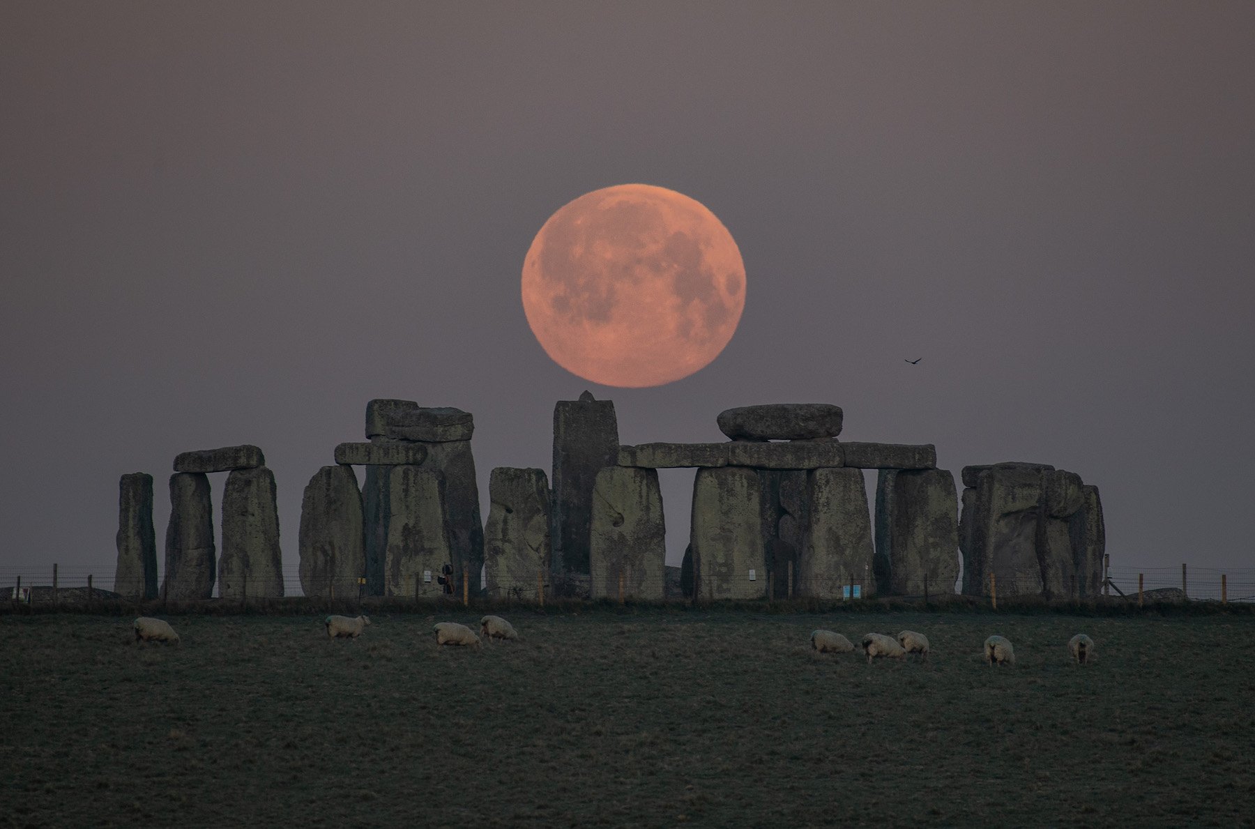 A long lost piece of England’s Stonehenge monument is helping experts understand the mysterious prehistoric structure. Analysis of a core sample