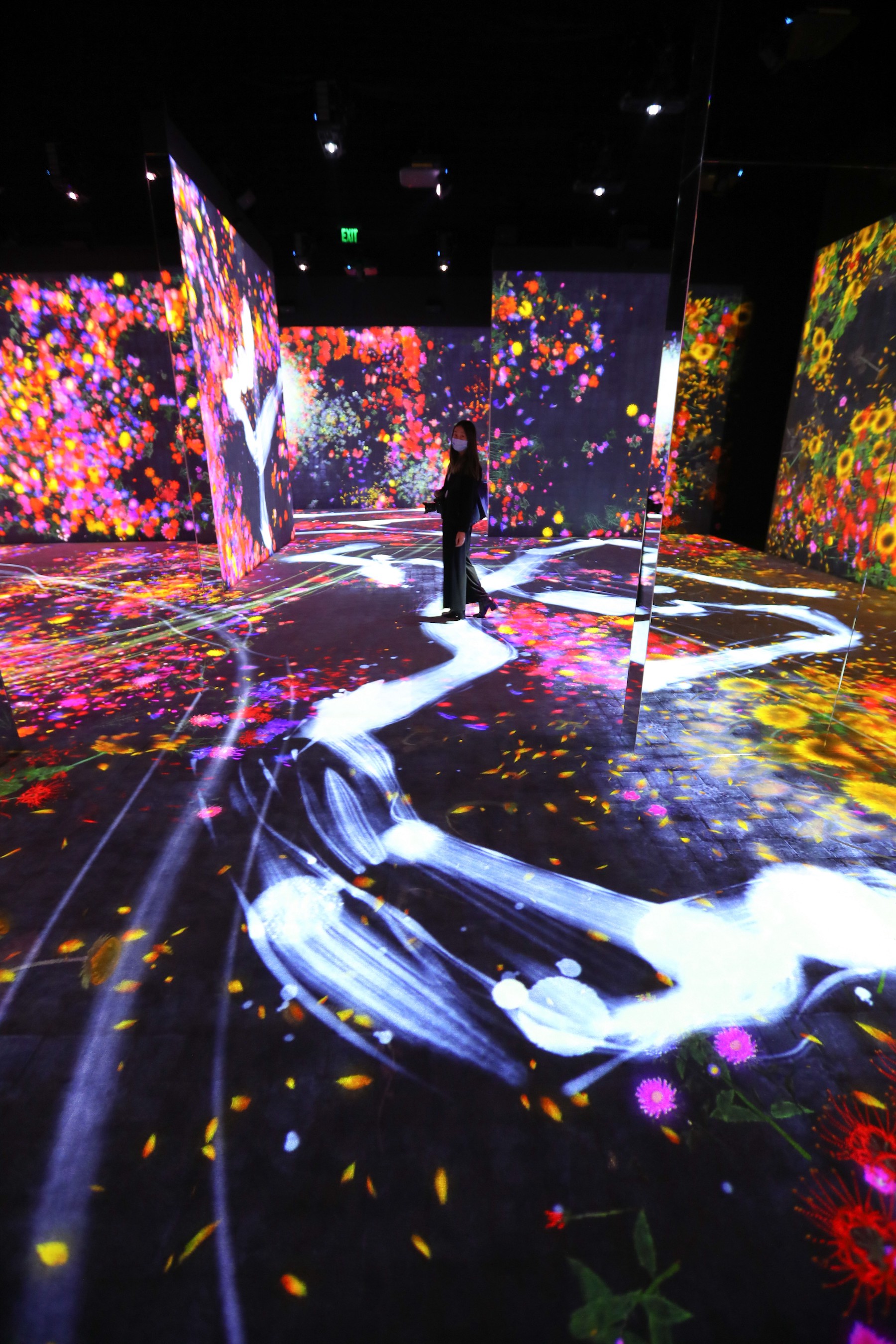 TeamLab’s Turbo-Charged Art Playground Inaugurates the Asian Art Museum ...