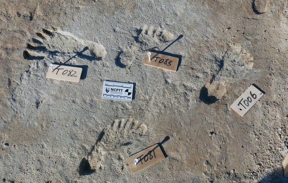 Children and teenagers left most of the prehistoric footprints. Photo courtesy of Bournemouth University, U.K.