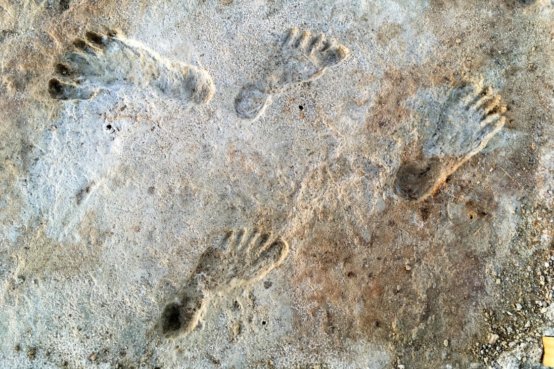 The Oldest Human Footprints In North America Could Redefine Prehistory ...