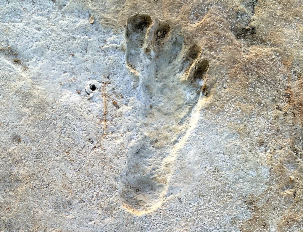 A prehistoric footprint at White Sands National Park in New Mexico.  The dating of these traces disrupts archaeologists' understanding of prehistoric migration to North America.  Photo by Dan Odess, courtesy of the National Park Service.