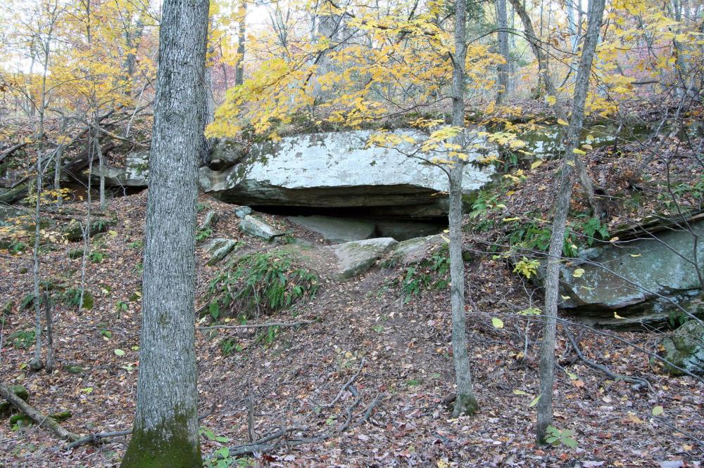 Picture Cave in Missouri. Courtesy of Selkirk Auctioneers & Appraisers.