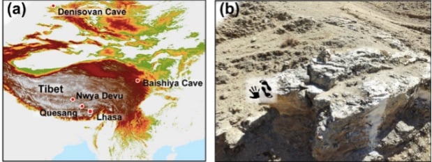 A map showing the location on the cave on the Tibetan Plateau and a photo of the prehistoric artworks between 169,000 and 226,000 years old. Photo courtesy of David D.Zhang. 