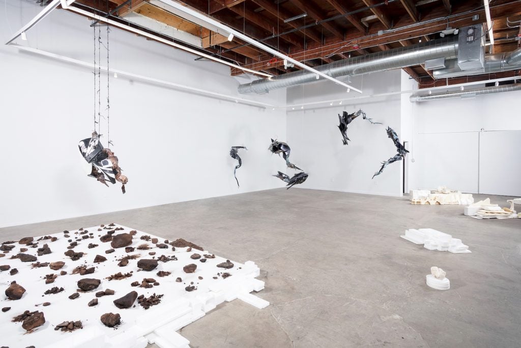Installation view of work in Ruben Ulises Rodriguez Montoya's “Ex Situ Canis Latrans” at Murmurs L.A. Image courtesy Murmurs L.A.