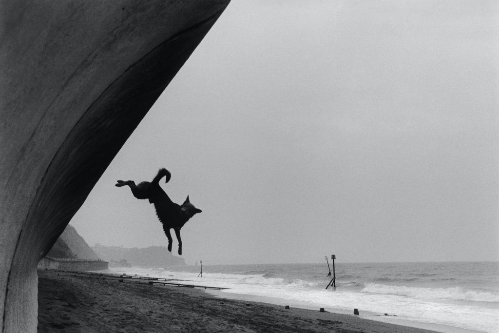 Roger Deakins, <i>Teignmouth Dog Jumping</i> (2000). © Roger A. Deakins.