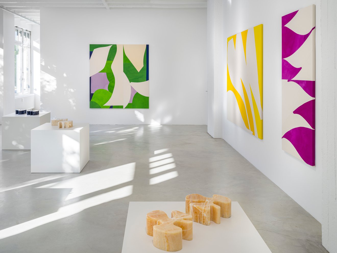 Installation view "Sarah Crowner: Plant Based," 2021. Courtesy of Galerie Nordenhake GmbH.