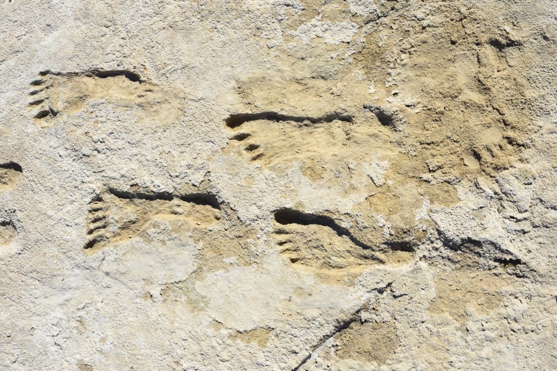 Fossilized Footprints Discovered in New Mexico Indicate That Humans Were in  the Americas Earlier Than Previously Believed