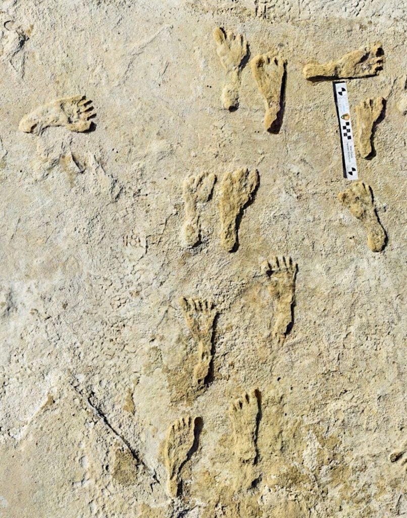 North America's oldest human footprints, found in White Sands National Park in New Mexico. Photo courtesy of the National Park Service/U.S. Geological Survey/Bournemouth University, U.K.