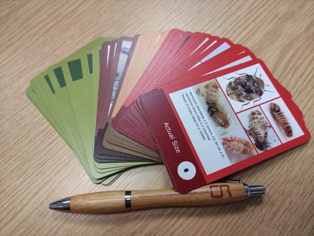 Save the Museum card deck. Image via Conservation Resources.