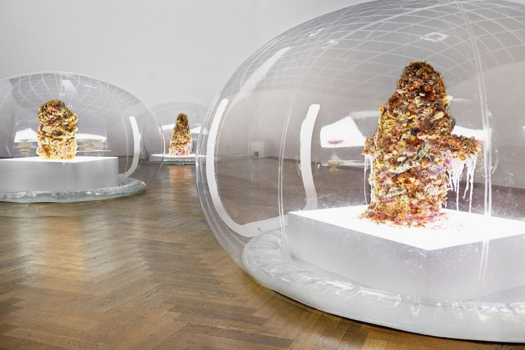 Anicka Yi, Vue d'installation <i>Digital Spit 7,070,430K</i>, Kunsthalle Basel, 2015. 