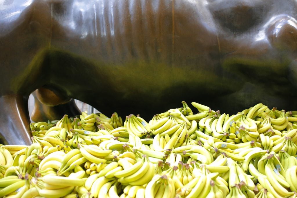 Bananas are seen beneath the <em>Charging Bull</em> statue on October 18, 2021 in New York City. The Sapien.Network, a social networking platform currently under development, unveiled a seven-foot statue of Harambe, a gorilla from the Cincinnati Zoo who became a media sensation in May 2016 who was shot by zookeepers to protect a child, in front of the statue to protest wealth disparity in the country. Photo by Michael M. Santiago/Getty Images.