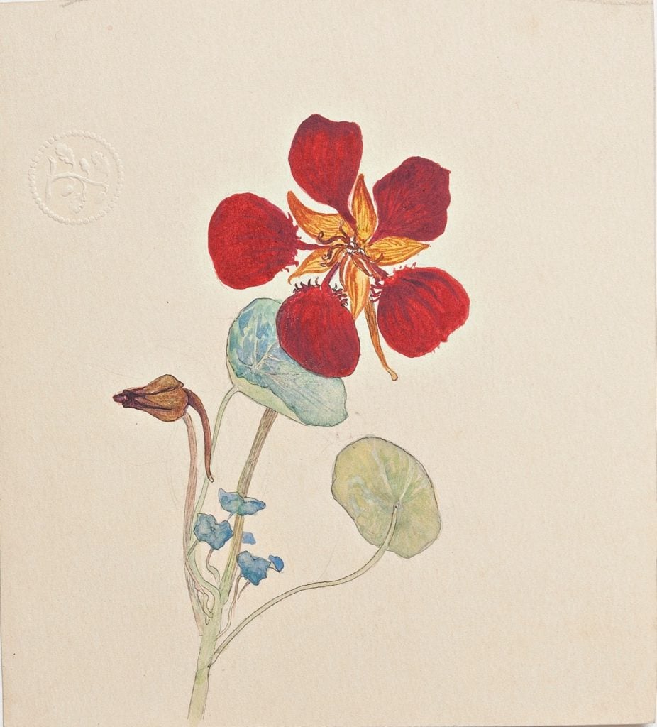 Hilma af Klint, Cress, 1890s. Watercolor and ink on paper, 5.7 × 5 inches. Photo: Albin Dahlström, the Moderna Museet.