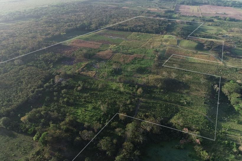 Aguada Fénix, one of the areas included in the LiDAR scans, was probably a ceremonial gathering site from the Maya. Photo courtesy of Takeshi Inomata.