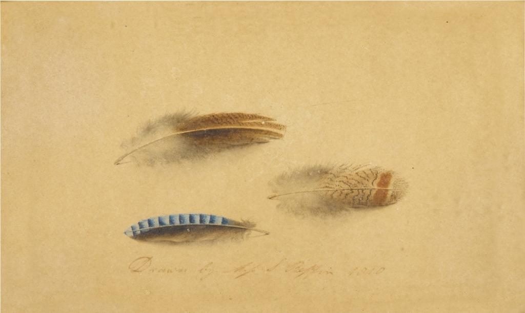 Sarah Beffin, A charming rendering of feathers from the accomplished armless artist, sold for $21,420, more an 20 times its high estimate.