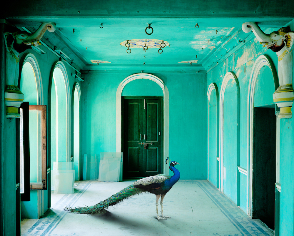 Karen-Knorr, <i>The Queens Room Zanana Udaipur City Palace</i>(2010). Image courtesy the artist and Danziger Gallery.