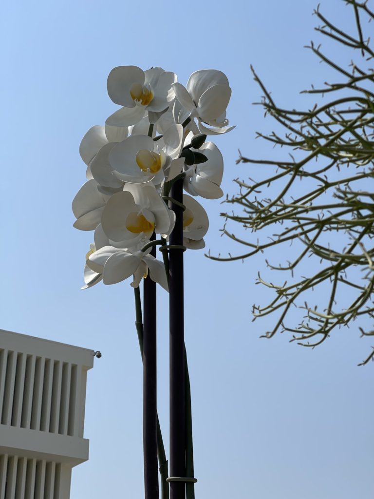 Two Orchids(2015) by Isa Genzken outside of the National TheaterCourtesy of Qatar Museums