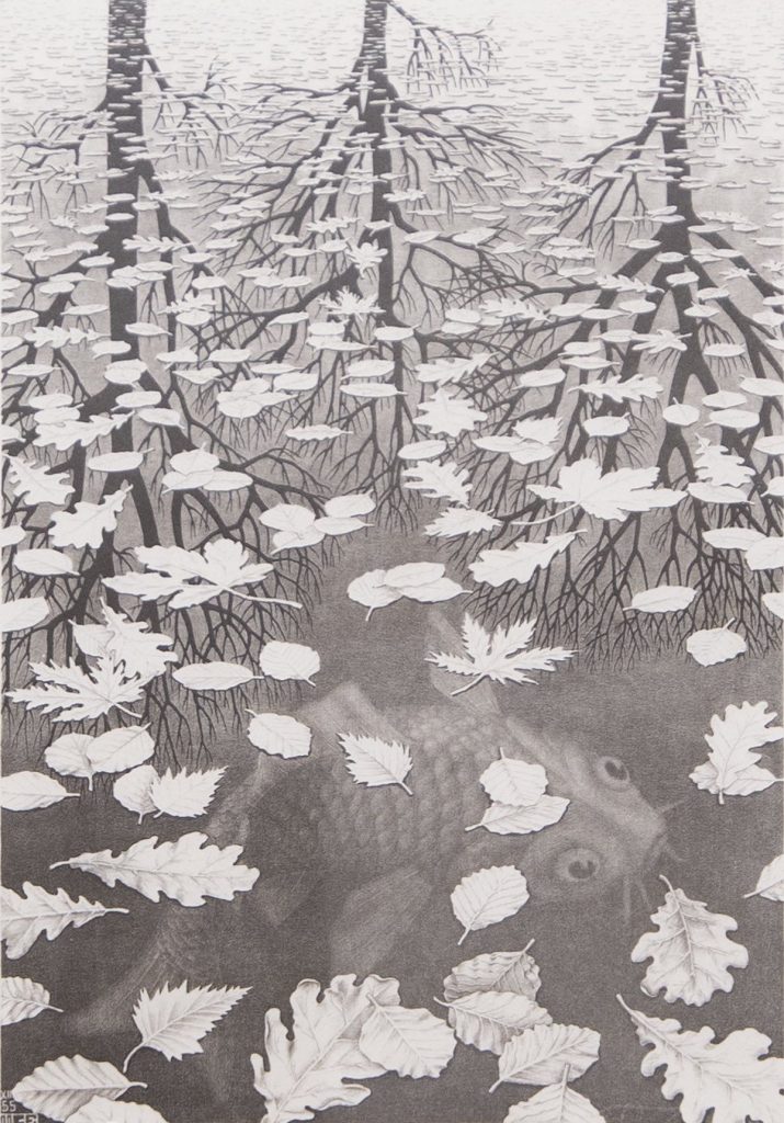 M.C. Escher, Three Worlds (1955). Courtesy of Bruce Silverstein Gallery.