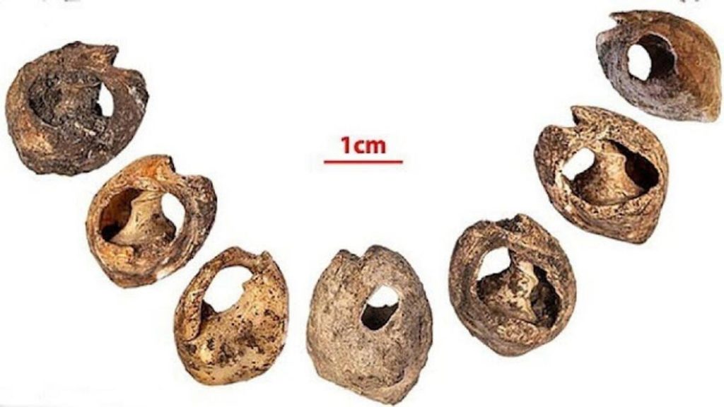 The world's earliest known piece of jewellery has been found by archaeologists, who say the 150,000-year-old beads may have been worn as earrings or on a necklace. Photo by Abdeljalil Bouzouggar, courtesy of the University of Arizona.